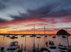 Gray's Inn & Gallery