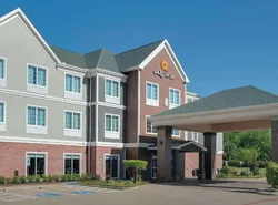 La Quinta by Wyndham Tyler South