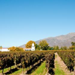 Cafayate Accommodation Michigan