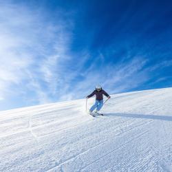 Cerro Chapelco Ski Accommodation Michigan