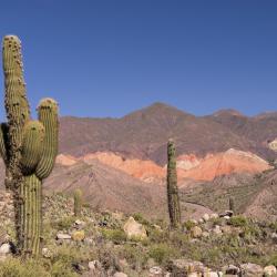 Jujuy Accommodation Michigan