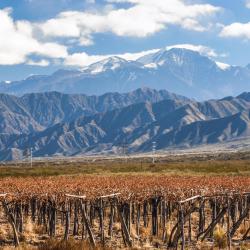 Mendoza Province Accommodation Michigan