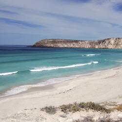 Kangaroo Island Accommodation Michigan
