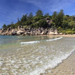 Magnetic Island Accommodation Michigan