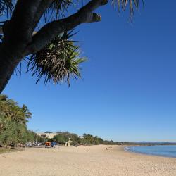 Noosa Accommodation Michigan