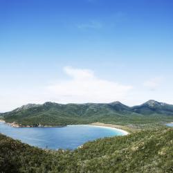 Tasmania Accommodation Michigan