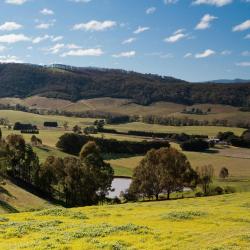 Victoria Accommodation Michigan