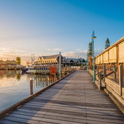 Western Australia Accommodation Michigan