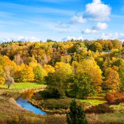 Ida-Virumaa Accommodation Michigan