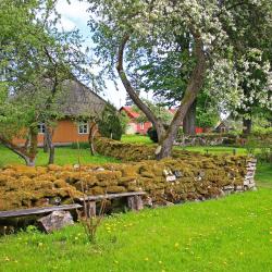 Muhu Accommodation Michigan