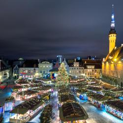 Tallinn Christmas Markets, Tallinn Accommodation Michigan