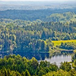 Võrumaa Accommodation Michigan