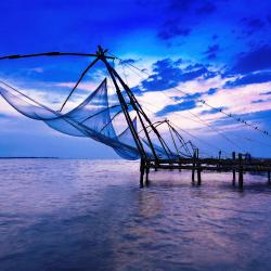 Cochin Accommodation Michigan