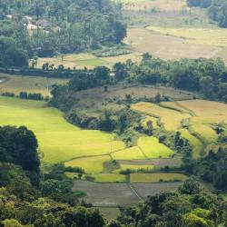 Coorg Accommodation Michigan