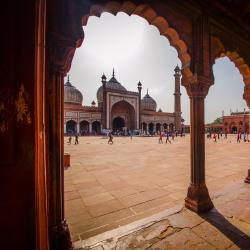 Delhi NCR Accommodation Michigan