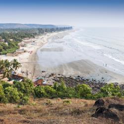 Goa Accommodation Michigan