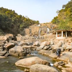 Jharkhand Accommodation Michigan