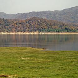 Jim Corbett National Park Accommodation Michigan