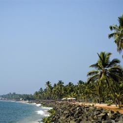 Kerala Accommodation Michigan