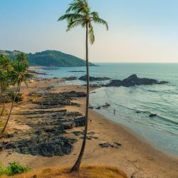 North Goa Accommodation Michigan