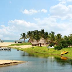 Pondicherry Accommodation Michigan