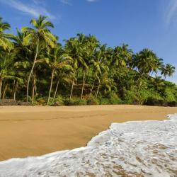 South Goa Accommodation Michigan