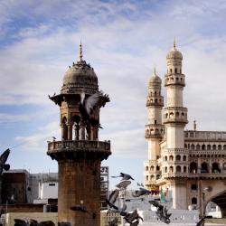 Telangana Accommodation Michigan