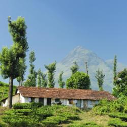 Wayanad Accommodation Michigan