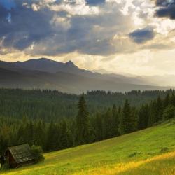 Gmina Bukowina Tatrzanska Accommodation Michigan