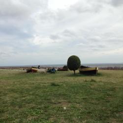 Kashubia Accommodation Michigan