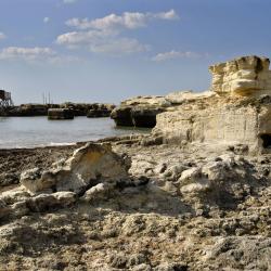 Podlaskie Accommodation Michigan