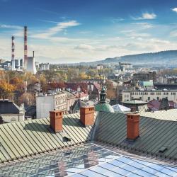 Silesia Accommodation Michigan