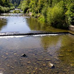 Wisla Accommodation Michigan