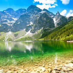 Zakopane Accommodation Michigan
