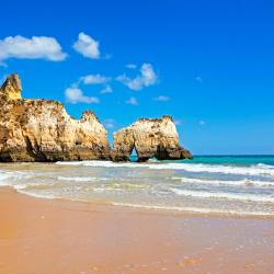 Alvor Accommodation Michigan