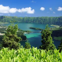 Azores Accommodation Michigan