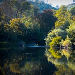 Beira Alta Accommodation Michigan