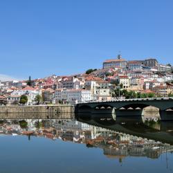 Centro Accommodation Michigan