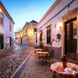 Faro Accommodation Michigan