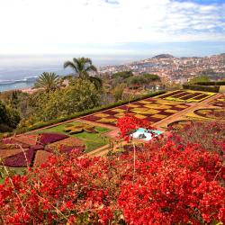 Funchal Accommodation Michigan