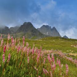 Santa Maria Accommodation Michigan