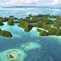 Koror Accommodation Michigan