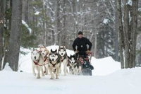 Inn at Stratton Mountain