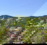 The Vintage Hotel - Accommodation Michigan