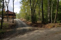 DOGWOOD DREAM Amazing Family Retreat Surrounded by Mountain Laurels