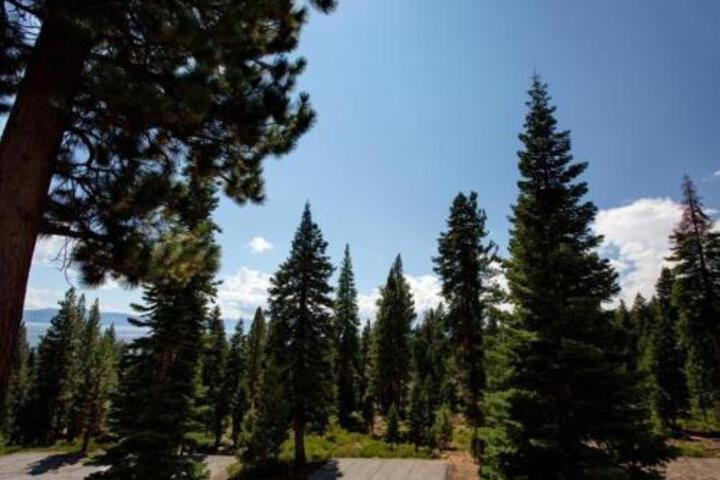 Stellers Jay Lake View Condo Condo - thumb 2