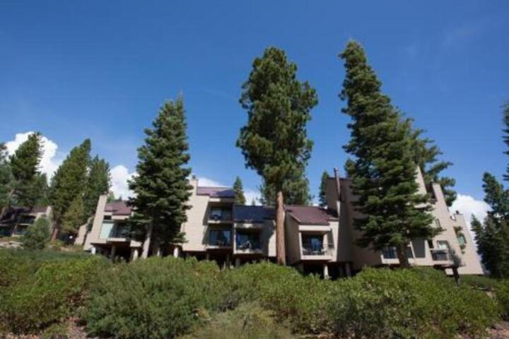 Stellers Jay Lake View Condo Condo - thumb 4