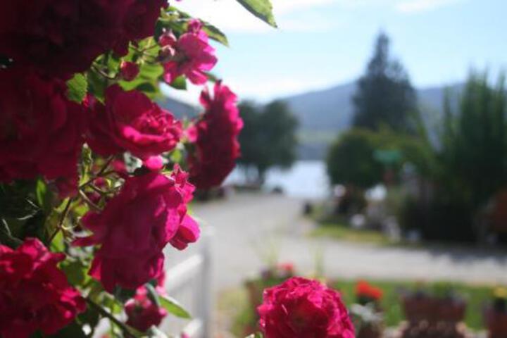 Cottage By The Lake - thumb 6