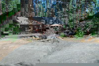 The Bernstein Bear Cabin