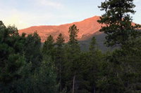 5 Acre Allenspark Cabin w / Rocky Mntn Views  Pond